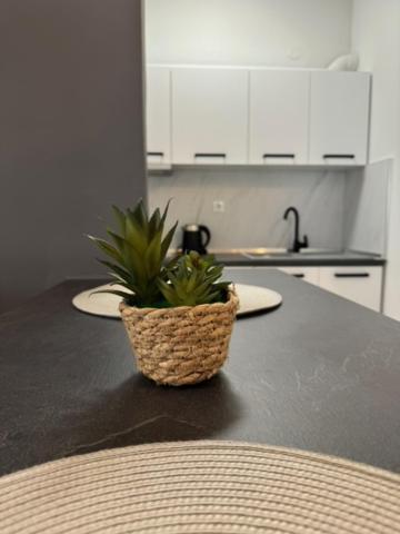 Damian'S Cozy Pool Apartment Peraía エクステリア 写真